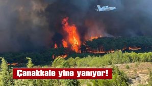 YANGIN YAZLIKLARA SIÇRADI, EVLER TAHLİYE EDİLİYOR