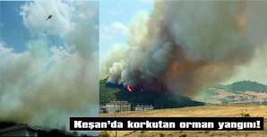 YERLEŞİM YERLERİNE KADAR ULAŞTI