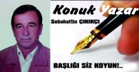 BAŞLIĞI SİZ KOYUN !