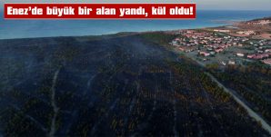 2 BİN 700 KİŞİ TAHLİYE EDİLDİ, 15 KİŞİ YARALANDI, 7 EV YANDI