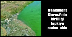 DAHA ÖNCE DE BALIK ÖLÜMLERİ İLE GÜNDEM OLMUŞTU…