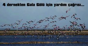 14 EYLÜL’DE GALA GÖLÜ’NDE PİKNİK, SUCUK / EKMEK PARTİSİ VE CANLI MÜZİK…