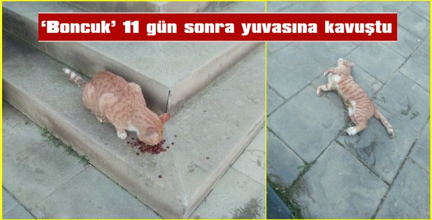 KAYMAKAM MERCAN, MAHALLELİNİN İSTEĞİNİ YERİNE GETİRDİ