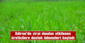EDİRNE’DE 35 MİLYON 304 BİN TL ÖDEME YAPILACAK