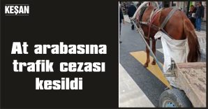 YAYA GEÇİDİNE PARK EDİLEN AT ARABASINA CEZA KESİLDİ