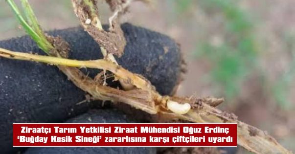 HANGİ TARLALAR DAHA RİSK ALTINDA?