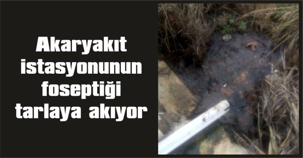 İNSAN SAĞLIĞI BU KADAR UCUZ MU?