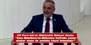 AKALIN: “BÖLGE HALKININ TALEBİ NETTİR: MEŞE DİKİLSİN”