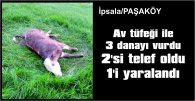 HAYVANLARINI VURAN KİŞİDEN ŞİKAYETÇİ OLDU