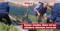 TEDAVİSİNİN ARDINDAN DOĞAYA BIRAKILACAK