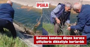 TEDAVİSİNİN ARDINDAN DOĞAYA BIRAKILACAK