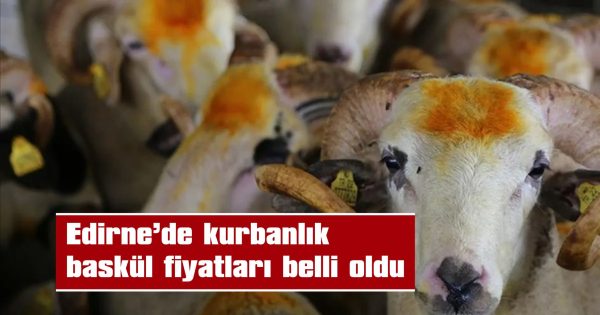 GEBE VEYA DAMIZLIK DEĞERİ TAŞIYAN HAYVANLARIN KESİMİ YASAK
