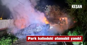 YANARAK KÜLE DÖNDÜ