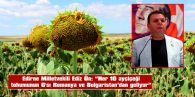 ÜN: “TÜRKİYE AYÇİÇEĞİ İTHALATINDA DÜNYA BİRİNCİSİ OLDU”