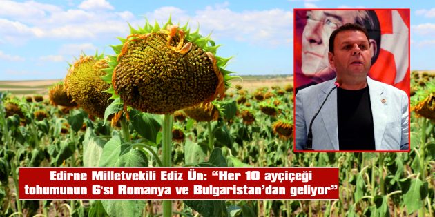 ÜN: “TÜRKİYE AYÇİÇEĞİ İTHALATINDA DÜNYA BİRİNCİSİ OLDU”