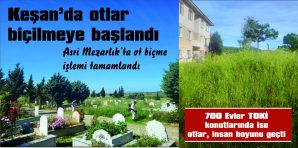 ANCAK ŞİKAYETLER BİTMİYOR!