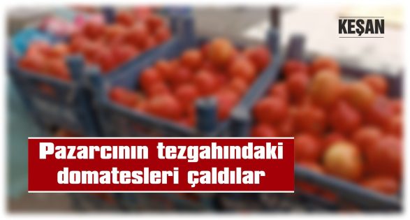 SERMAYESİNİ ÇALAN KİŞİDEN ŞİKAYETÇİ OLDU
