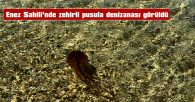 CİLTTE YANMA VE TAHRİŞE NEDEN OLDUĞU BİLİNİYOR