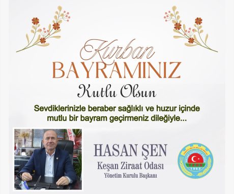 hasan şen