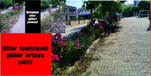VATANDAŞIN İSTEĞİ YERİNE GETİRİLDİ