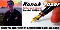 BUĞDAYDA FİYAT KRİZİ VE AYÇİÇEĞİNDEN KANOLAYA KAÇIŞ