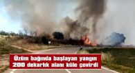 150 DEKAR EKİLİ BUĞDAY TARLASI YANDI