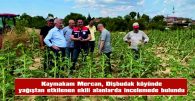 SAHA ÇALIŞMALARI TİTİZLİKLE SÜRDÜRÜLÜYOR