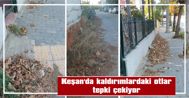 RASİM ERGENE CADDESİ’NDEKİ YOL VE KALDIRIMLARIN TEMİZLENMESİ İSTENİYOR