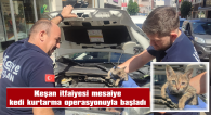 KURTARILDIKTAN SONRA TAVUKLA KARNINI DOYURDU