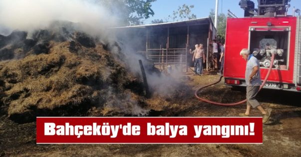 YAKLAŞIK 500 SAMAN BALYASI KÜLE DÖNDÜ