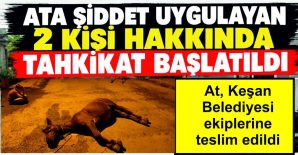 AT, KEŞAN BELEDİYESİ EKİPLERİNE TESLİM EDİLDİ