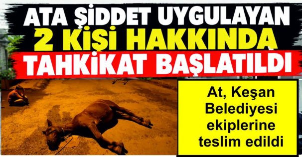AT, KEŞAN BELEDİYESİ EKİPLERİNE TESLİM EDİLDİ