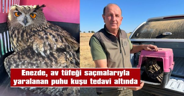 KANADINDA SAÇMALAR BULUNDU