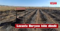 12 DÖNÜMLÜK TARLA YANDI